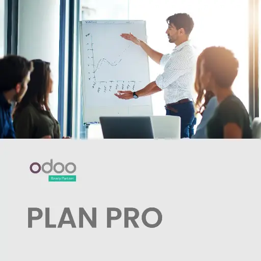 [ODOO] Odoo - Pro | Empresas medianas que buscan adaptar sus procesos a ODOO